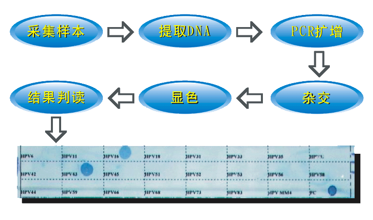 未標題-1